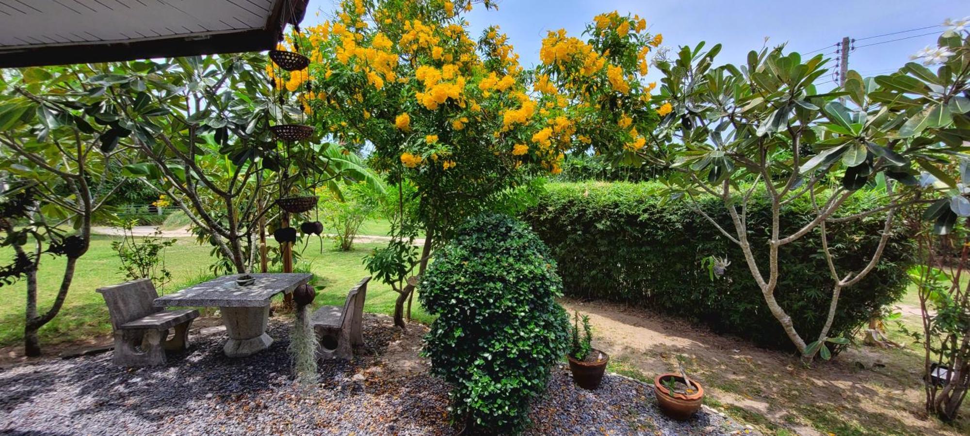 Samui Blue Bird Bed & Breakfast Mae Nam Luaran gambar